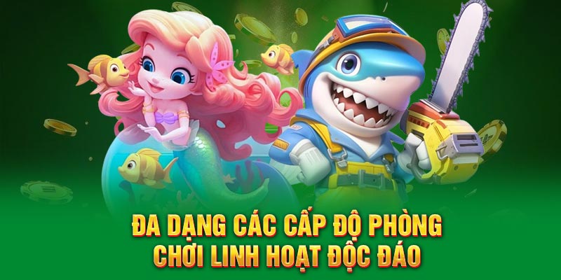 Đa dạng các cấp độ phòng chơi linh hoạt độc đáo