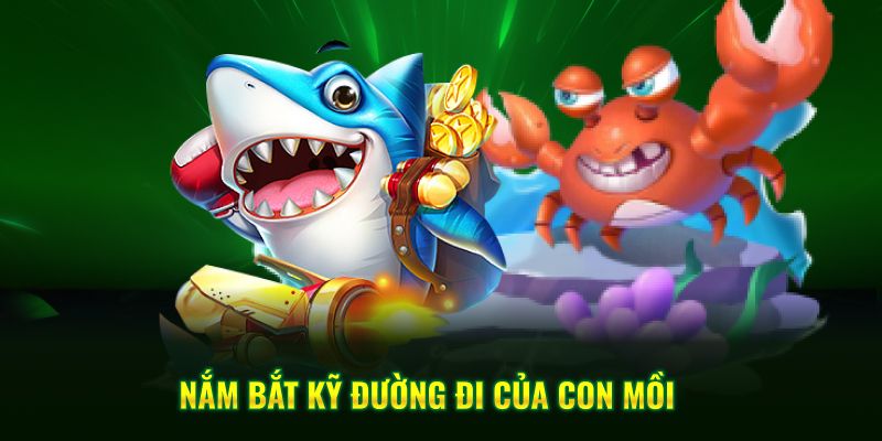 Nắm bắt kỹ đường đi của con mồi