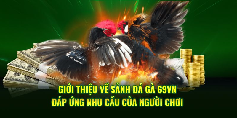 Giới thiệu về sảnh đá gà 69VN đáp ứng nhu cầu của người chơi