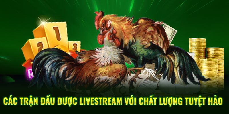 Các trận đấu được livestream với chất lượng tuyệt hảo