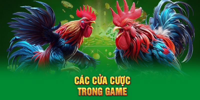 Các cửa cược trong game