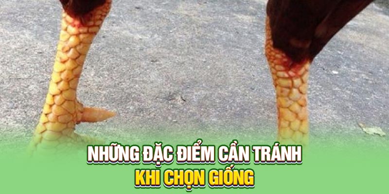 Những đặc điểm cần tránh khi chọn giống