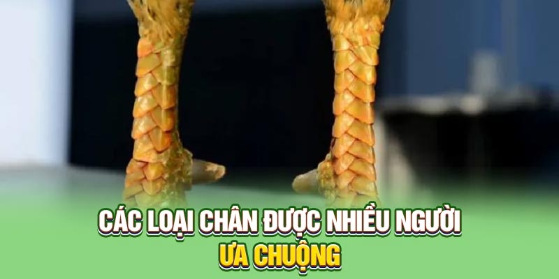Các loại chân được nhiều người ưa chuộng